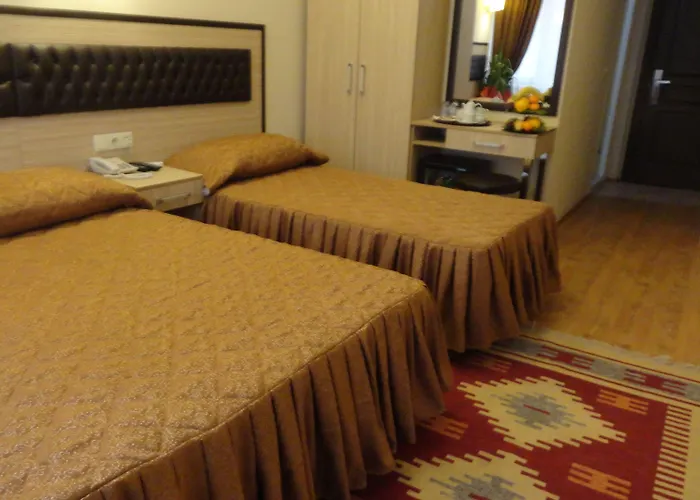 Ξενοδοχείο Tugra 3*