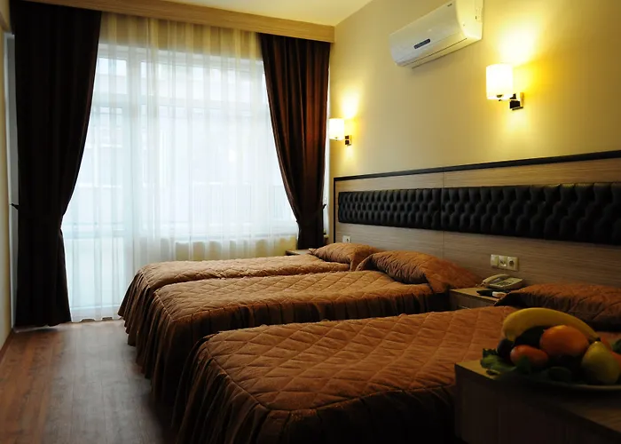 Ξενοδοχείο Tugra 3*